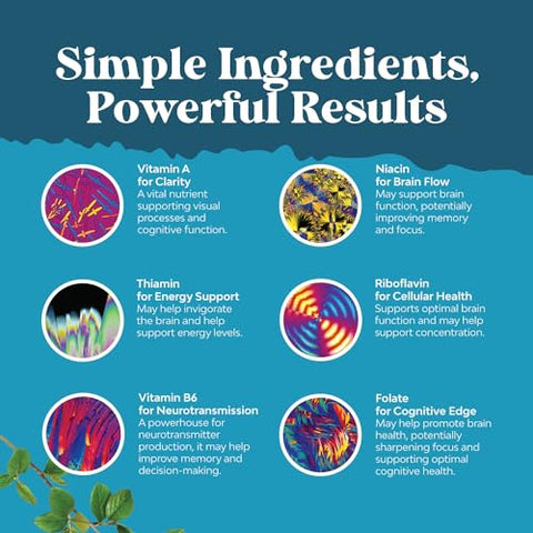 Natures Craft - Suplemento para Suporte Cerebral – Foco Mental e Memória Nootrópica para a Saúde do Cérebro : Nootropics Brain Support