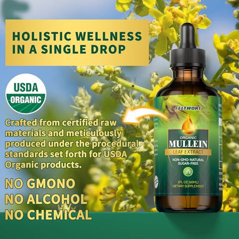 feltwort - Gotas de Mullein – Limpeza Pulmonar – Extrato de Folha – Poderoso Mullein para Suporte Imunológico e Desintoxicação – 30ml