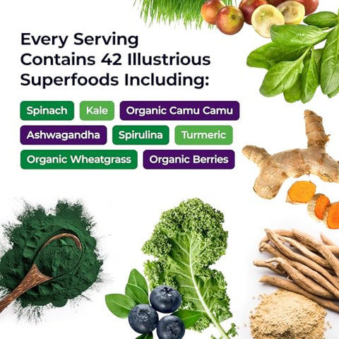 Pó de Energia ORAC Greens, Poder Antioxidante de 24 Porções de Frutas – 100g - Paradise Herbs