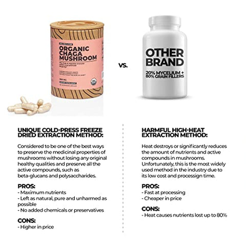 Wellnest.Store - Chaga Mushroom Organic Supplement (Extrato de Inonotus) 60 Cápsulas Vegetais – Combate Inflamação e Apoia a Saúde das Articulações. Suporte Imunológico; Melhora a Função Cognitiva