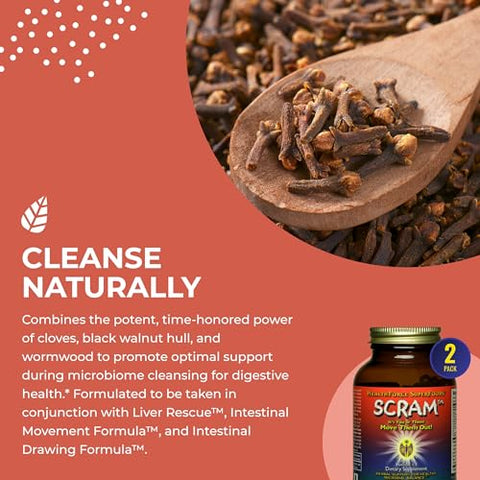 HEALTHFORCE SUPERFOODS - HealthForce SuperFoods Scram – Suplemento Herbal com Cardo Mariano e Artemísia | 60 cápsulas | Detox e Limpeza do Organismo