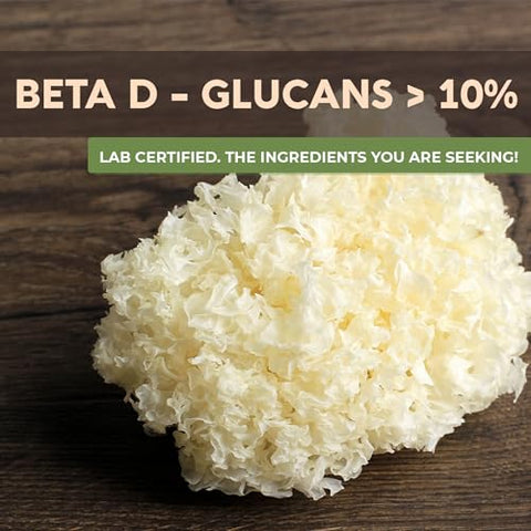 Pó de Cogumelo Tremella Orgânico – Concentrado Ultra de Cogumelo Tremella – Promove Pele Saudável e Memória – 100% Corpo Frutífero – 100g - Longevity Botanicals