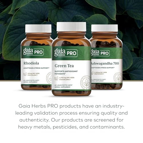 Pro Chá Verde – Suplemento Herbal de Chá Verde para a Saúde do Coração – Com Folha e Extrato de Chá Verde Orgânico – 60 Cápsulas Líquidas Veganas de Fitoterapia (30 Porções) - Gaia Herbs