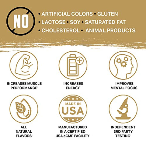 Kinetic: Pré-treino Orgânico Energético com Cogumelos, Pó Superfood Nootrópico para Energia (Sabor Framboesa Azul) - Ambrosia