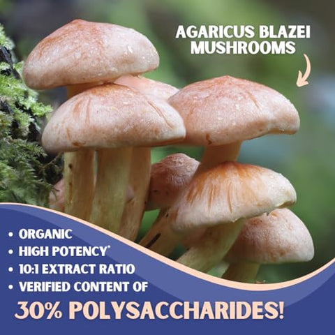 Nutriheim - Agaricus Blazei 10.000mg Extrato de Cogumelo Orgânico para Imunidade