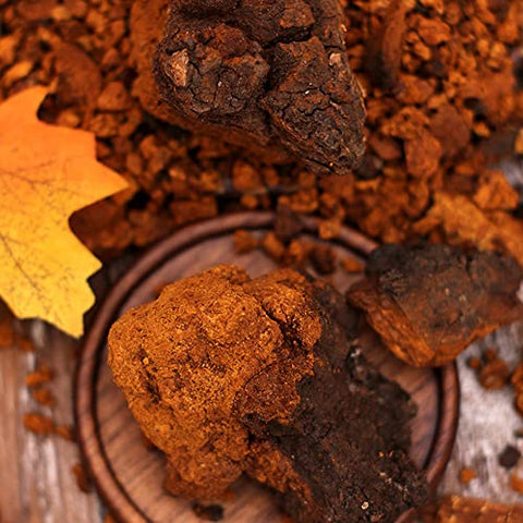 UNKNOWN - Chá de Chaga Orgânico Bai Hua Rong (250g) – Cogumelo Chaga Orgânico