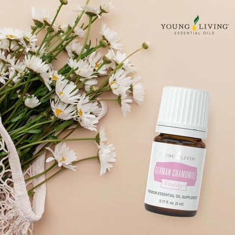 Óleo Essencial de Camomila Alemã Vitality 5 ml | Antioxidante - Young Living