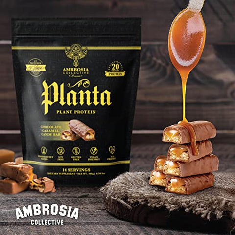 Planta – Proteína Vegetal Orgânica Premium | Vegan | 100g - Ambrosia