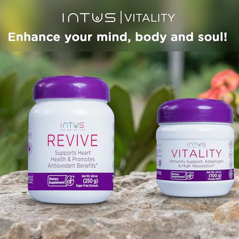 INTUS THE WAY OF LIFE - Pó de Suporte Imunológico para Prevenção de Resfriados por Intus – 100g – Suplemento Natural para Imunidade – Saúde Digestiva e Bem-Estar – Reforço Imunológico para Adultos