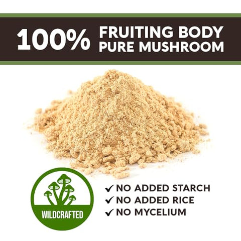 Cápsulas de Agarikon Silvestre – Suplemento de Agarikon Ultra Concentrado – Promove um Sistema Imunológico Equilibrado – 100% Corpo Frutífero – 120 Cápsulas - Longevity Botanicals