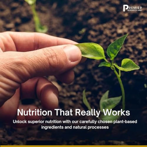 Allicidin – Suplemento de Alho Allicin, Cápsulas de Alho, Extrato de Allicin, Extrato de Alho, Cápsulas de Alho sem Odor, Suporte Imunológico – 60 cápsulas - Premier Research Labs