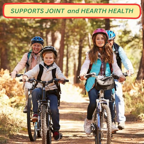 AyBet - WORLD 1st. Cúrcuma Curcumina Gengibre – Potente Antioxidante Natural – 100% Puro – 60 Cápsulas – 500mg – Marca de Qualidade