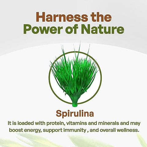 Spirulina em Pó Orgânica | Superfoods Puros Não-OGM para Antioxidantes, Minerais, Ácidos Graxos, Fibra | 100g - Go Nutra