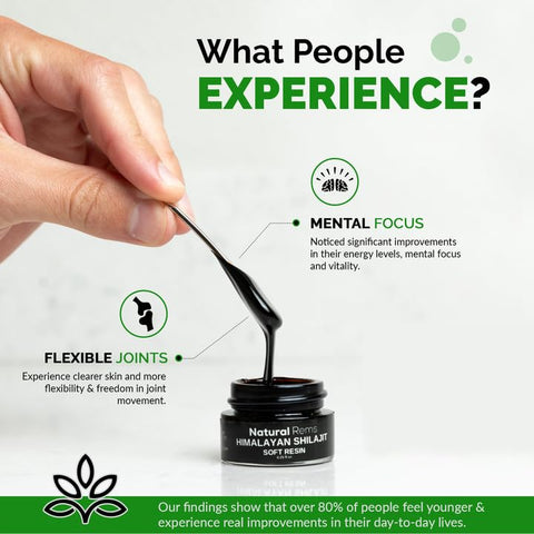 Natural Rems - Shilajit Orgânico Puro do Himalaia – Suplemento de Ácido Fúlvico – Energia e Foco – Saúde Holística