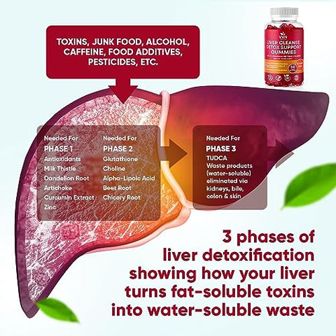 VVN Naturals - VVNaturals Detox Limpeza do Fígado 26 em 1 Sem Açúcar