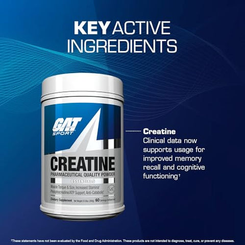 Creatine Monohydrate Powder – Força, Saúde Cerebral, Antioxidante, Resistência – Homens – 300g - GAT SPORT