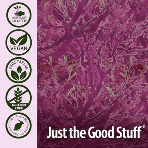 Nature's Answer - Nature’s Answer Magnésio Marinho Concentrado 500mg | Base Vegetal | Alga Vermelha | 500g