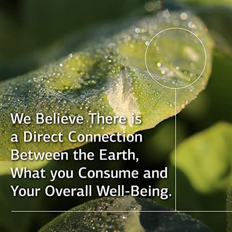 Standard Process Inc. - Echinacea-C Standard Process – Suporte Sanguíneo e Imunológico com Alimentos Integrais, Vitamina C, Echinacea Purpurea e Trigo Sarraceno – 90 Comprimidos