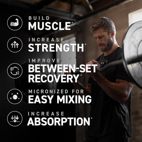 Creatine Monohydrate Micronizado em Pó | 100 Porções | Sem Sabor | Recuperação e Crescimento Muscular para Homens | Marca Kaged - Kaged