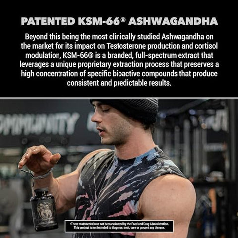 Sigma Testosterone Booster – Tongkat Ali e Extrato de Fadogia Agrestis para Aumentar os Níveis de Testosterona (120 Cápsulas) - Gorilla Mind