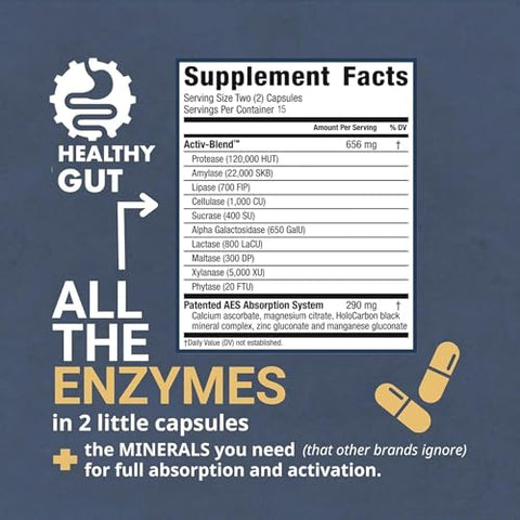 Healthy Gut,LLC - HoloZyme Enzimas Digestivas para um Intestino Saudável | Desfrute Novamente de seus Alimentos Favoritos | com Protease, Amilase, Lipase, Lactase e Mais | 15 Porções