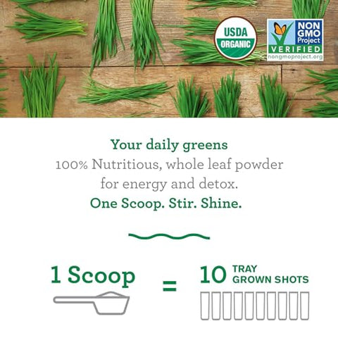 Wheat Grass Powder: Energia e Desintoxicação com Pó de Grama de Trigo 100% Integral – 100g - Amazing Grass