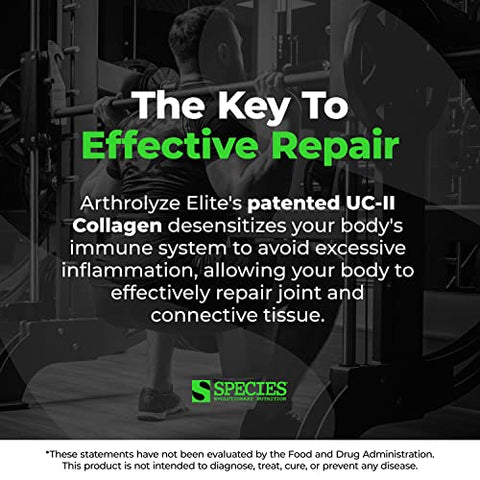 Arthrolyze – Suplemento para Reparo de Articulações, Fortificado com Colágeno UC-II, MSM, Glucosamina, Condroitina, Alta Potência para Tecido Conjuntivo - Species Nutrition