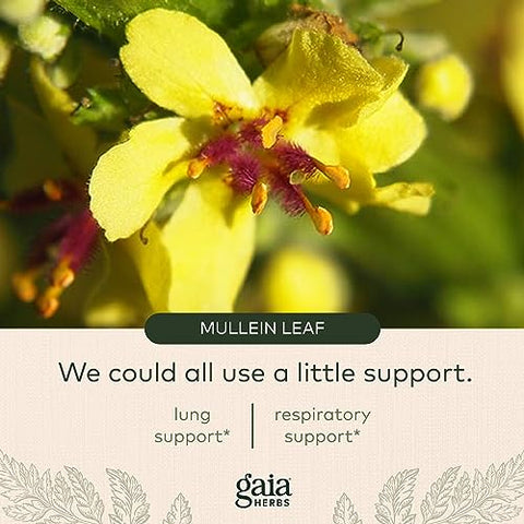 Suplemento Gaia Herbs Mighty Lungs – Suporte Pulmonar para Manter a Saúde dos Pulmões