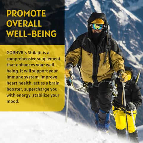 GORNVB - (2-Pack) Shilajit Puro do Himalaia Líquido Orgânico de Alta Potência, Gotas de Resina de Shilajit para Homens