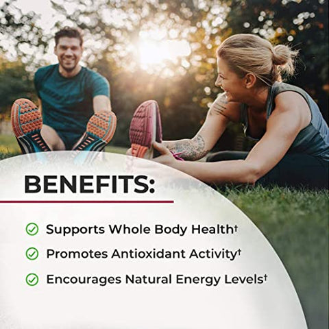 BioSchwartz - Gomas de Beterraba Sem Açúcar – Mastigáveis de Óxido Nítrico de Beterraba Infundidas com Óleo de Coco para Maior Absorção – Suporte Energético