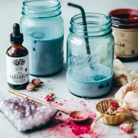 Anima Mundi Apothecary - Anima Mundi Cerebrum – Suplemento Líquido de Suporte Cognitivo com Lion’s Mane e Ginkgo – Potencializador Cerebral para Memória e Suporte Cognitivo – Gotas Líquidas