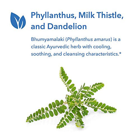 Suplemento de Cardo Mariano Plus para Apoio à Saúde do Fígado, Cardo Mariano, Dente-de-leão, Desintoxicação, Limpeza, Cápsulas Vegetarianas – 120 Unidades - Allergy Research Group