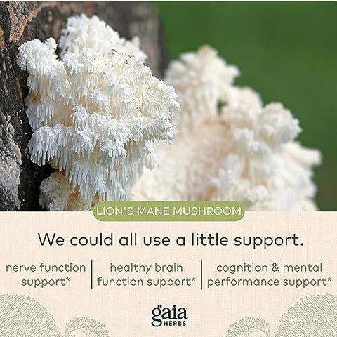 Suplemento de Suporte Cerebral e Nervoso com Cogumelo do Leão Orgânico – 120 ml Vegan Líquido - Gaia Herbs