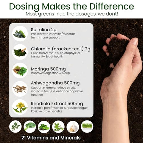 SUPERGREEN TONIK - Pó Superfood 100% Natural Greens – Suplemento Diário com 38 Superfoods, Vitaminas e Minerais – Energia, Estresse e Imunidade – 30 Dias de Fornecimento – 360g (1 Tubo)