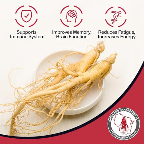 Dairyland Management LLC - Cápsulas de Ginseng Americano Dairyland – 150 un, 500 mg – Complexo de Ginseng de Wisconsin – Extrato Autêntico de Raiz de Ginseng Americano – Cápsulas de Ginseng para Uso Diário Imunológico