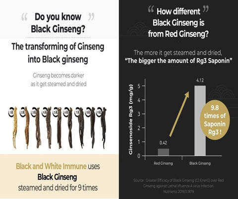 H HEBLIS - [HEBLIS] Extrato de Ginseng Negro Coreano e Platycodon Branco, Energético, Suporte Imunológico, Sticks de Mel de Ginseng