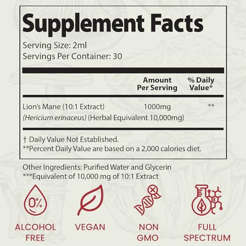 Lion’s Mane – Elixir Líquido para Memória e Foco com Cogumelos Funcionais – Extrato de Lion’s Mane em Espectro Completo – Sem GMO, Vegano – 100ml - Auri
