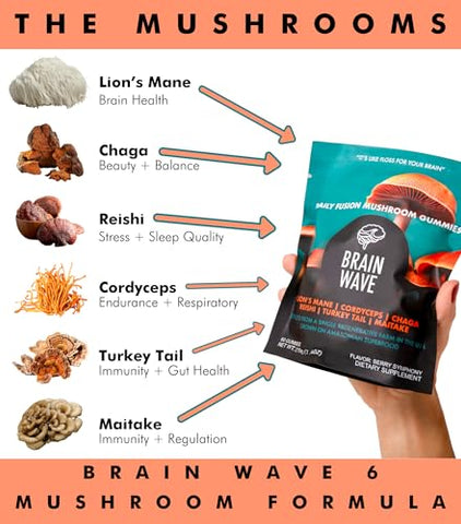 Gummies de Cogumelos Superfood | Suplemento Diário Delicioso de Cogumelos | Leão Mane Reishi Cordyceps Turkey Tail Chaga Maitake | Gummies de Cogumelos - BRAIN WAVE