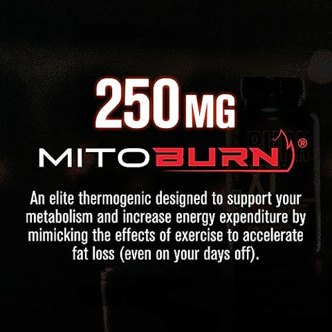 Burn-XT Max – Queimador de Gordura Termogênico de Alta Performance – 60 Cápsulas - Jacked Factory