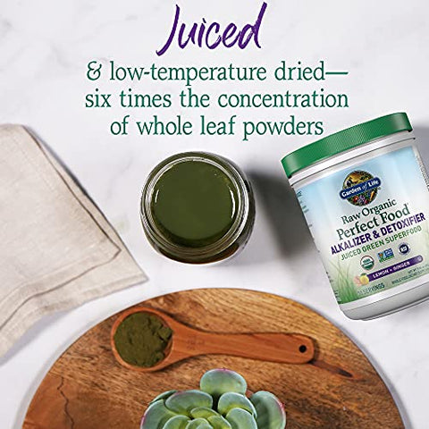 Raw Organic Perfect Food – Pó de Verdes Superfood Juiced – Sabor Maçã – 100g - Garden of Life