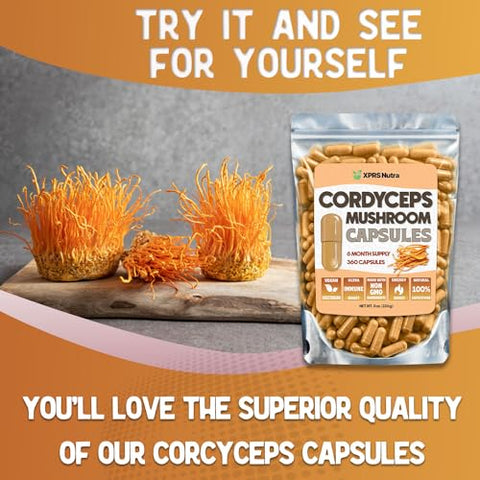 Cápsulas de Pó de Cogumelo Cordyceps – 360 Unidades (Fornecimento de 180 Dias) – Nossas Cápsulas Premium de Cogumelo Cordyceps Contêm Cogumelos Reais (Cordyceps Sinensis) para Apoiar - XPRS Nutra