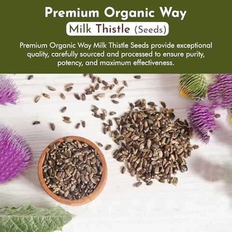 Organic Way - Sementes de Cardo Mariano Orgânico (Silybum marianum) – Colheita Selvagem Europeia, Orgânico