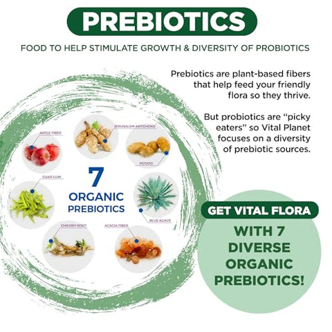 Probiótico Diário Vital Flora para Adultos Acima de 55 Anos, 60 Bilhões de UFC, Diversas Cepas, Prebióticos Orgânicos, Suporte Imunológico, Alívio de Gases, Saúde Digestiva para Mulheres - Vital Planet