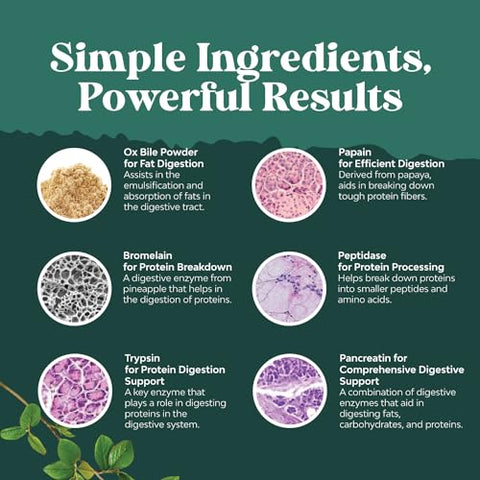 Natures Craft - Enzimas Digestivas com Suplemento de Bile de Boi – Suporte para Digestão do Pâncreas e Vesícula Biliar com Enzimas Digestivas de Pancreatina 4X e Bile de Boi