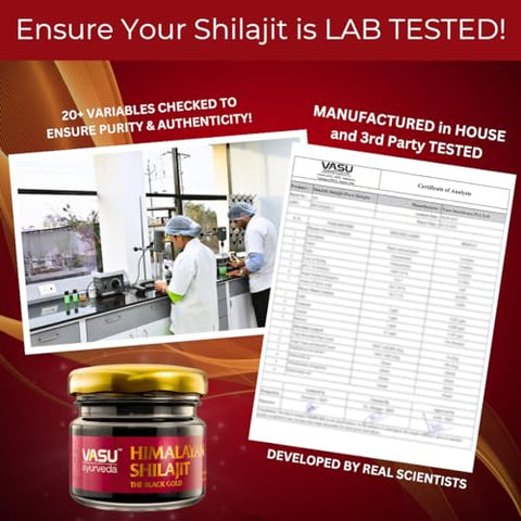 Ayurveda Shilajit Resina Himalaia Natural 100% Pura – Alta Potência, Testada em Laboratório – Forma Pura de Ácido Fúlvico – 100g - Vasu