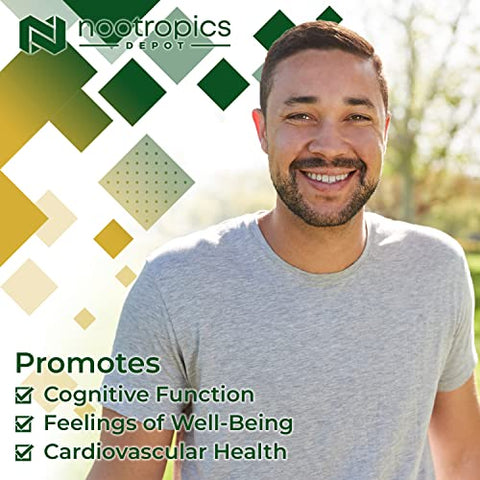 Comprimidos de Epicatequina | 200mg | Extrato de Chá Verde | 90 Unidades | (-)-epicatequina 6mg Piperina para Promover Bioacessibilidade | Promove Saúde Cardiovascular e Muscular - Nootropics Depot