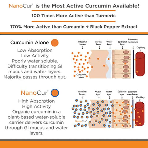 Nanocur - Cúrcuma Curcumina – 100x Mais Ativa Que a Cúrcuma, 170% Mais Ativa Que a Curcumina Extrato de Pimenta Preta. Suporte Articular, Alívio e Energia que Você Sentirá. Orgânico