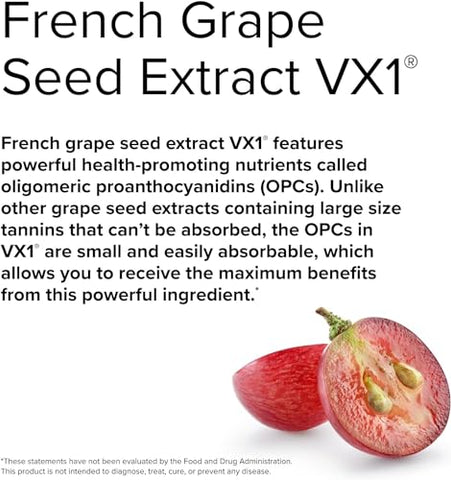 Clinical OPC Extra Strength – 60 Softgels – Suplemento de Extrato de Semente de Uva Francesa – Sem OGM, Sem Glúten – 60 Porções - Terry Naturally