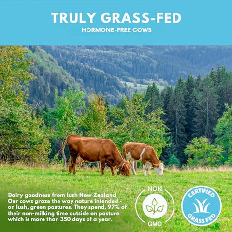 Proteína Isolada de Soro de Leite de Vacas Alimentadas com Capim – Sem Sabor 28g de Proteína em Pó sem Adoçantes Artificiais, Livre de Hormônios, Não-OGM – 454g - Opportuniteas