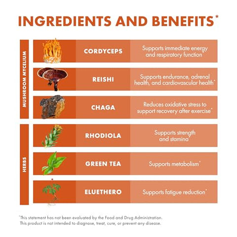 MycoBotanicals Energy* Cápsulas – Energia | Potencialize sua vitalidade com a marca líder em cogumelos medicinais - Host Defense